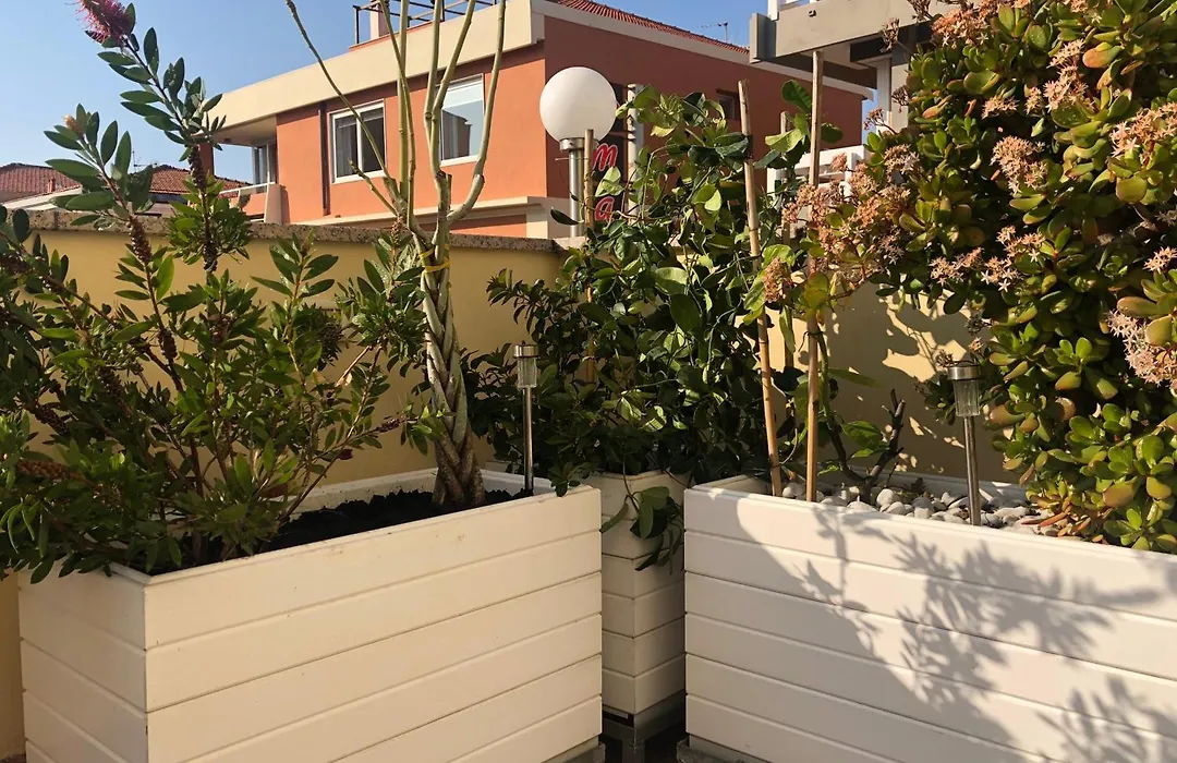 B&B Borgo Marina-1