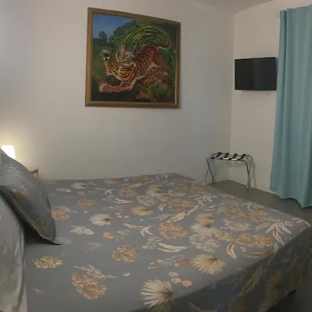 Guesthouse Villa Jung-2